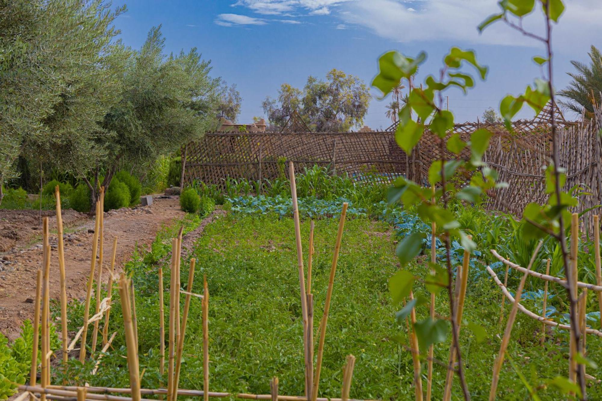 סקורה Maison D'Hote Amridil מראה חיצוני תמונה