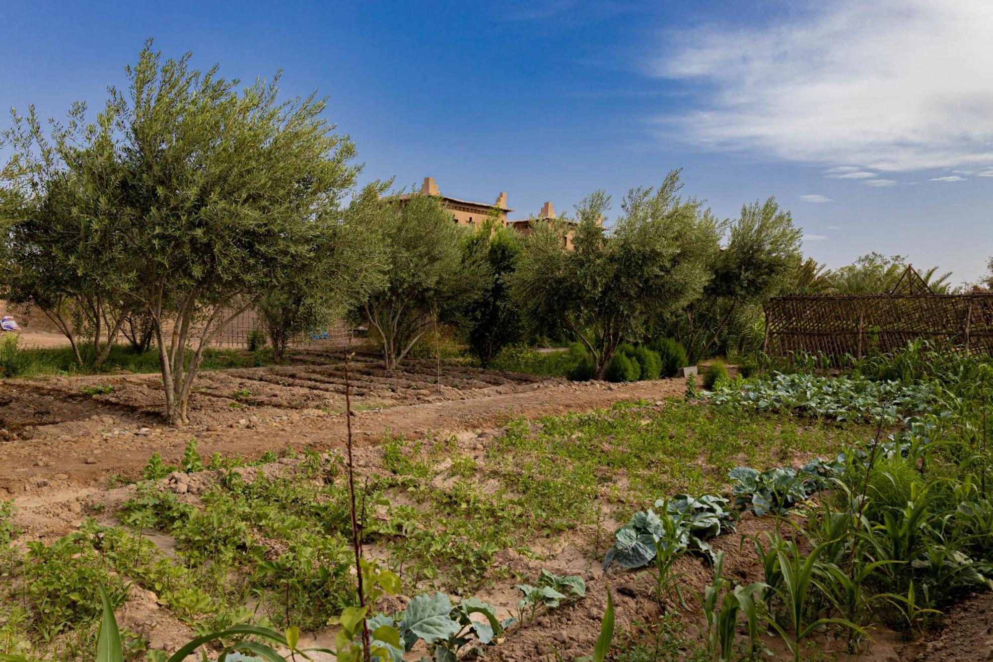 סקורה Maison D'Hote Amridil מראה חיצוני תמונה