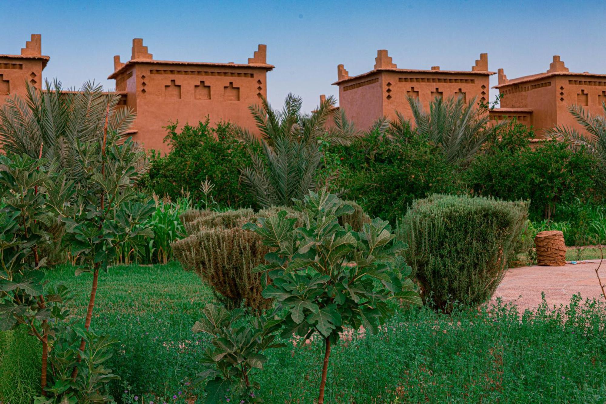 סקורה Maison D'Hote Amridil מראה חיצוני תמונה